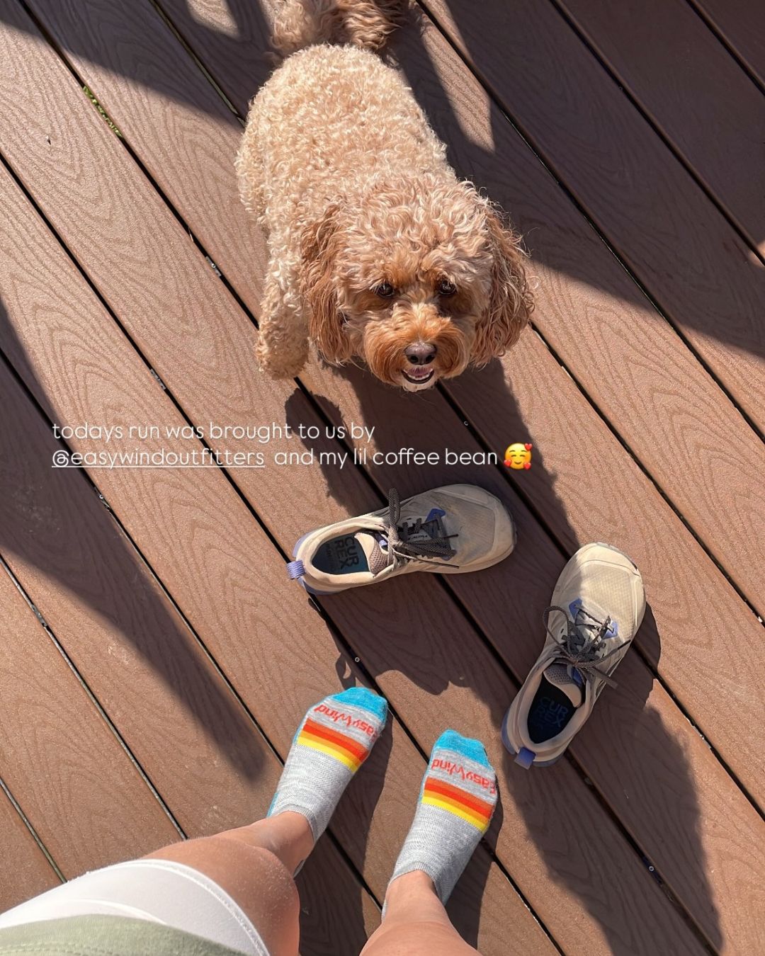 MST No-Show Merino Wool Running Socks