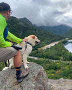 Overlook Merino Wool Socks