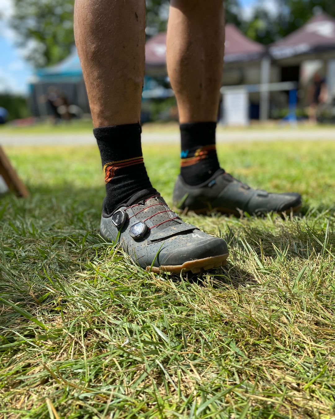 Throwback Merino Wool Socks