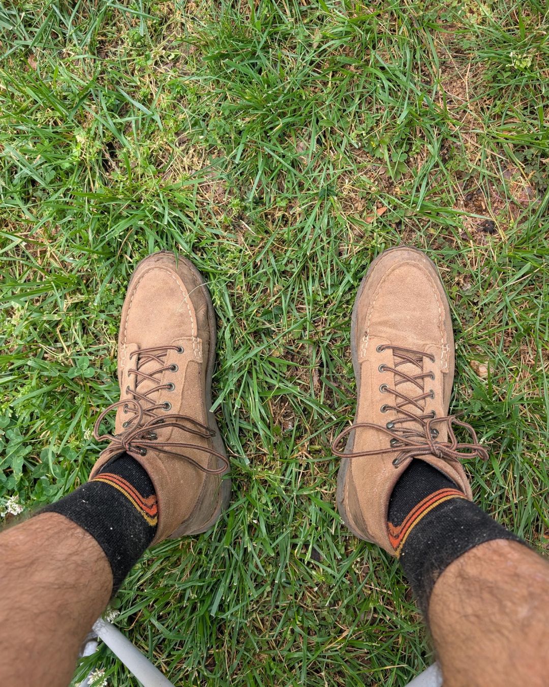 Throwback Merino Wool Socks